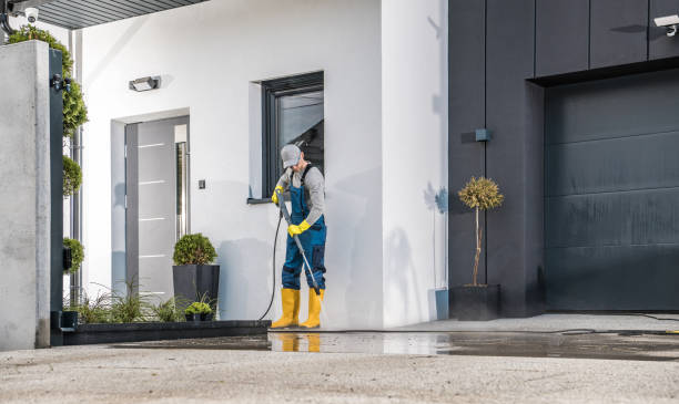 Best Solar Panel Cleaning  in Alamo, CA